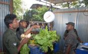 Sri Lankan Army Gets A Makeover - Goes Into Selling Vegetables